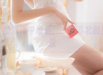 在白色的海洋中遨游：一北亦北的图集奇遇