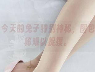 丽柜 – 今天的兔子特别神秘，图包里的隐秘难以捉摸。